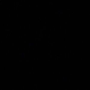 Meet your Posher, Perla